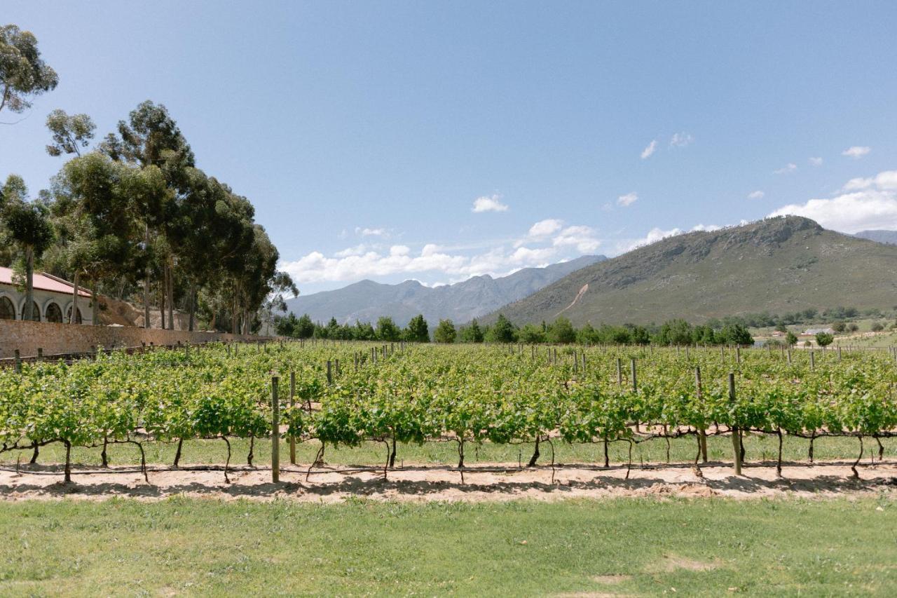 La Roche Estate Daire Franschhoek Dış mekan fotoğraf